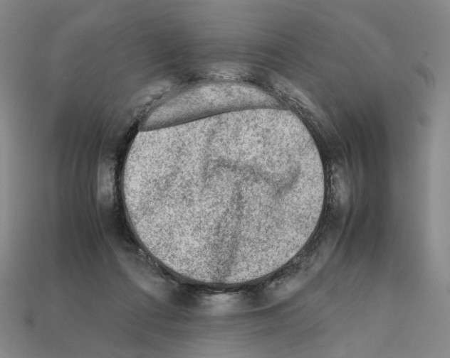 X0000111900312200909071141