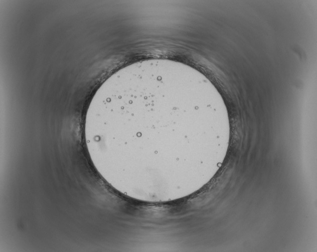 X0000111900313200909071141