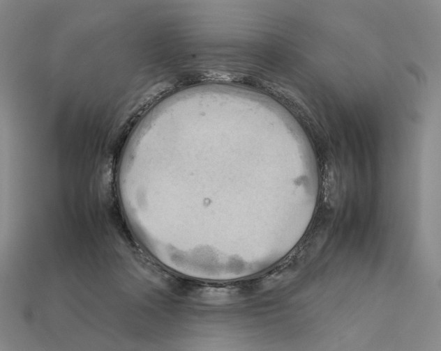 X0000111900314200909071141