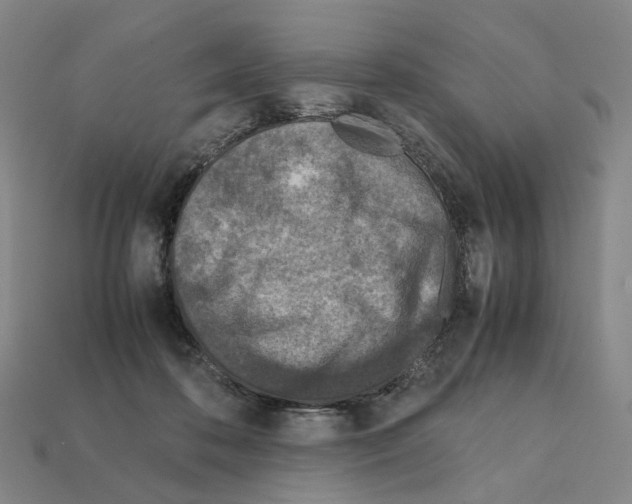 X0000111900316200909071141