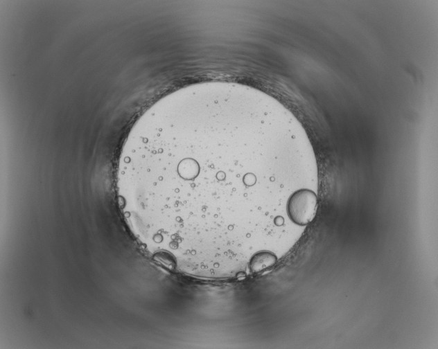 X0000111900317200909071141