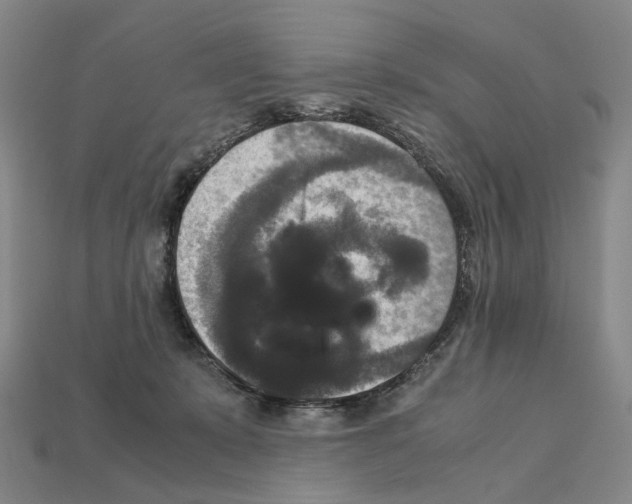 X0000111900319200909071141