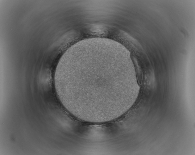 X0000111900320200909071141