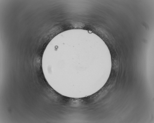 X0000111900321200909071141