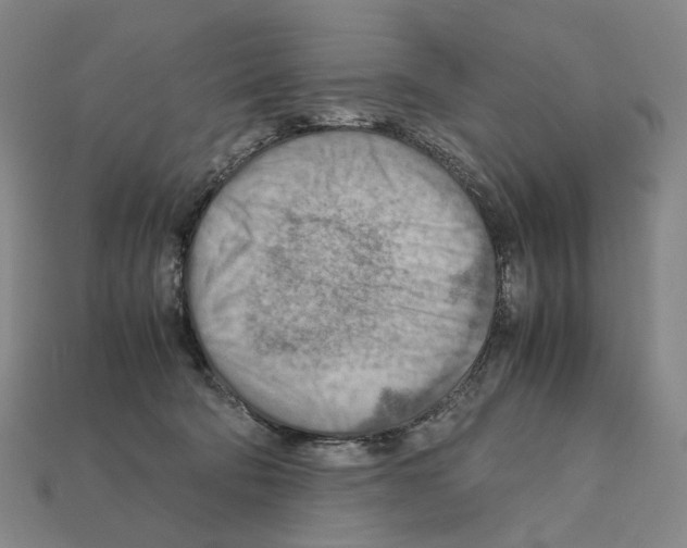 X0000111900322200909071141