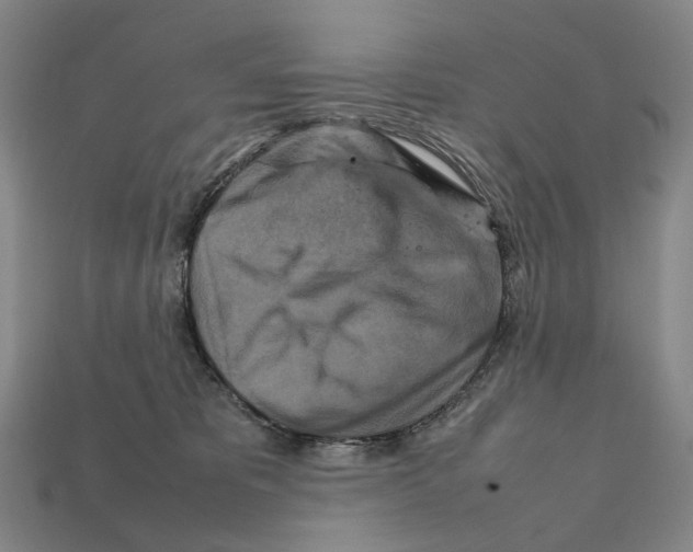 X0000111900325200909071141