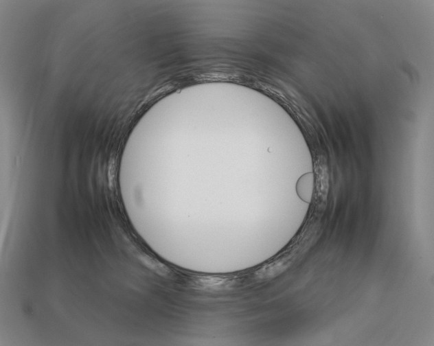 X0000111900326200909071141