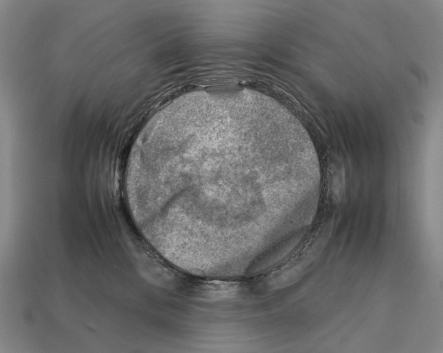 X0000111900328200909071141