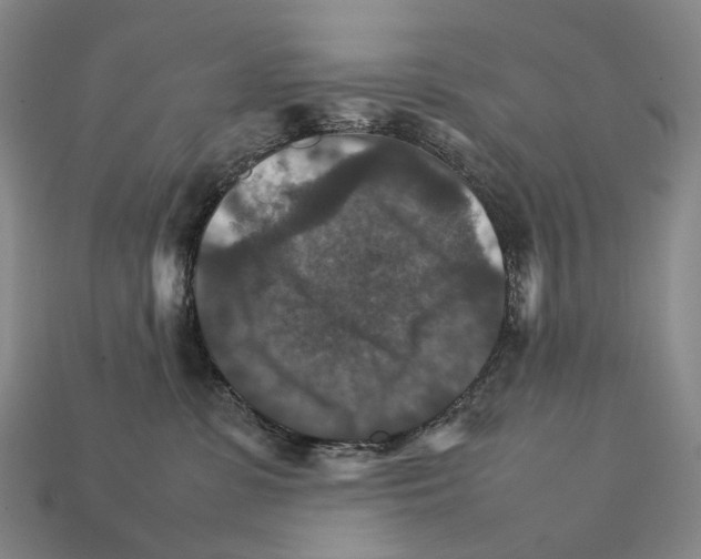 X0000111900331200909071141