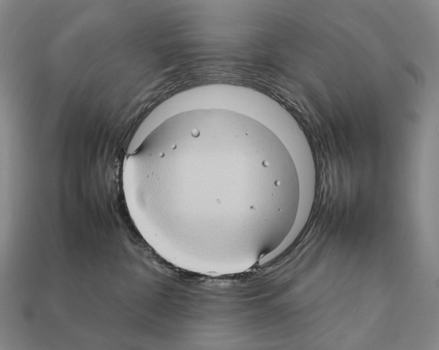 X0000111900332200909071141