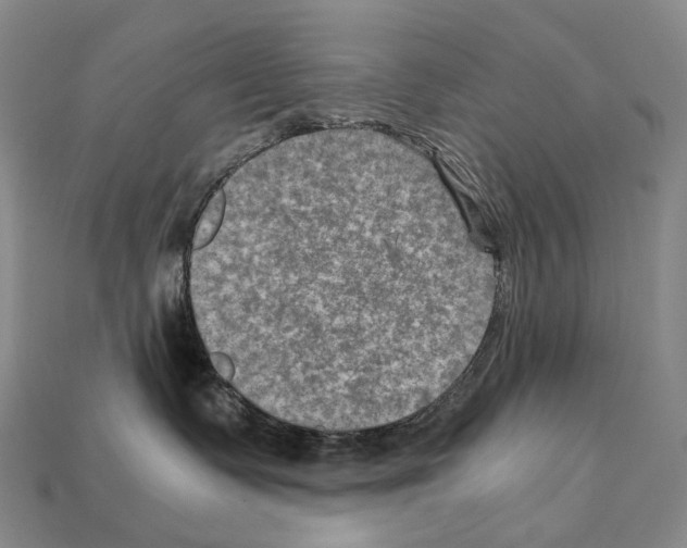 X0000111900335200909071141