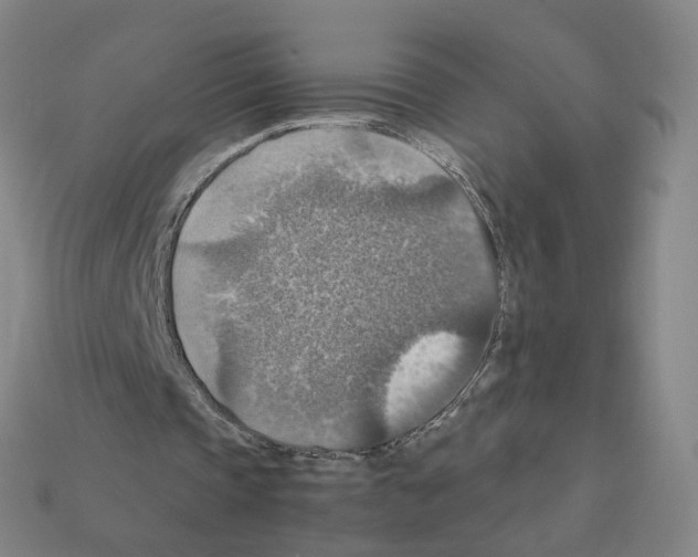 X0000111900337200909071140