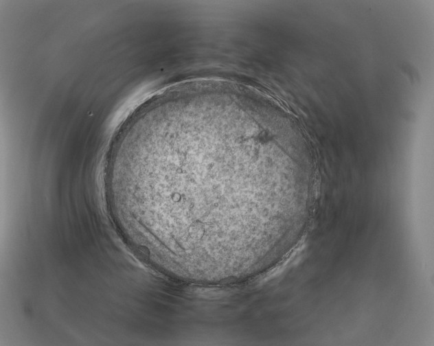 X0000111900341200909071140