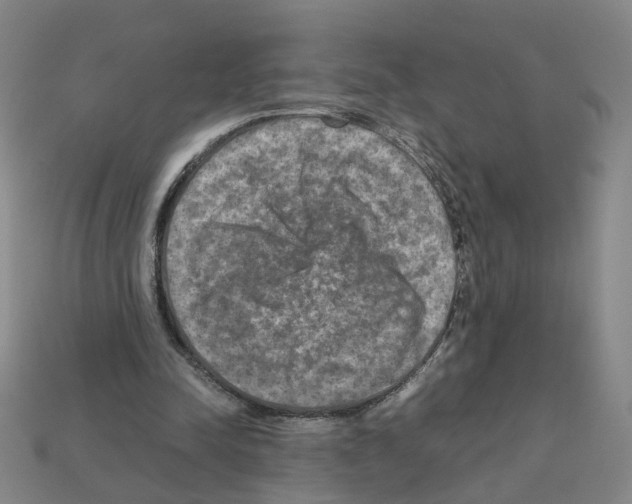 X0000111900342200909071140