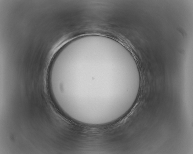 X0000111900344200909071140