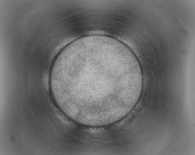 X0000111900345200909071140