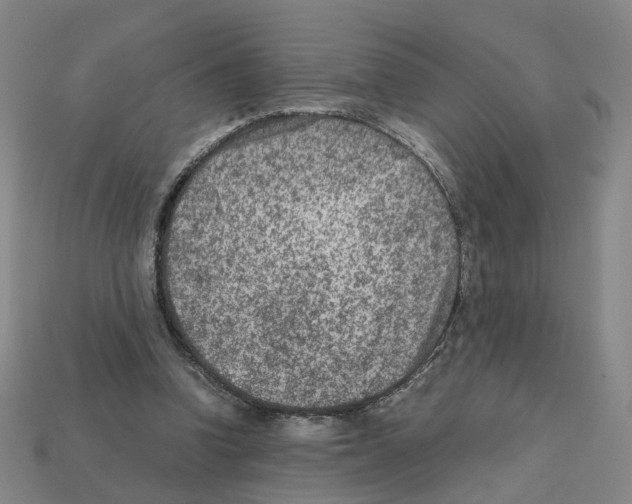 X0000111900346200909071140