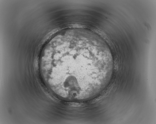 X0000111900347200909071140