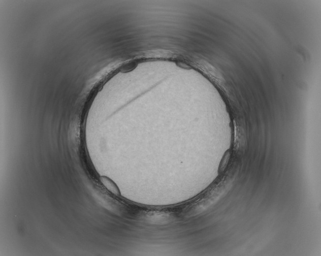 X0000111900348200909071141