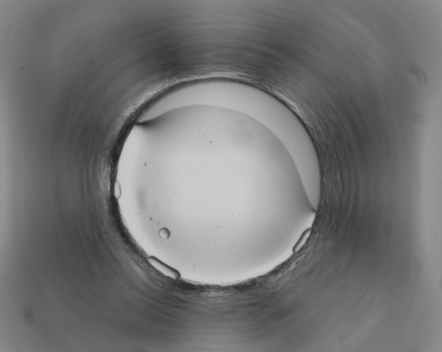 X0000111900350200909071141