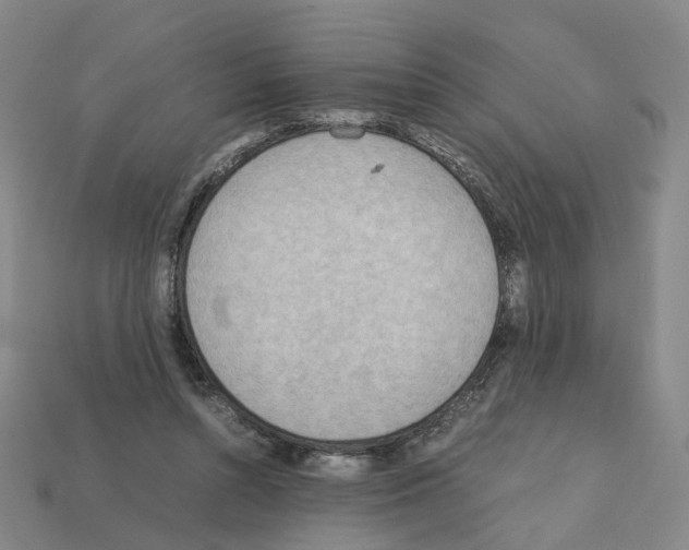 X0000111900352200909071141