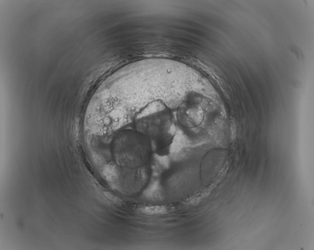 X0000111900353200909071141