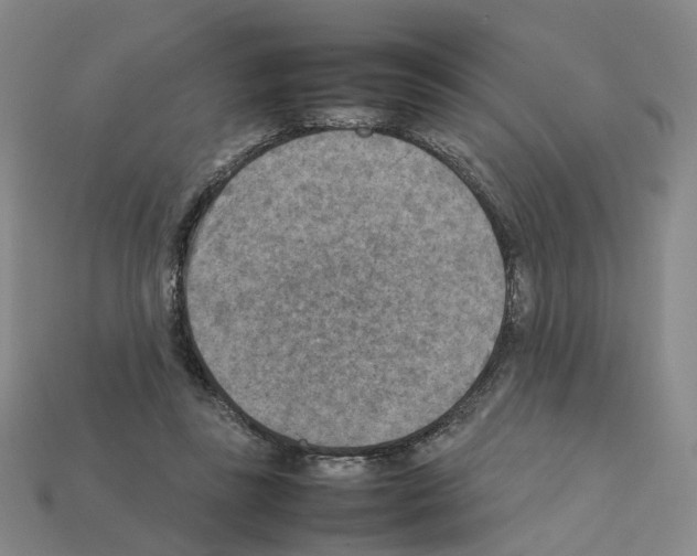 X0000111900355200909071141