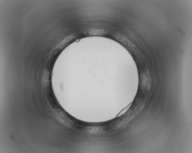 X0000111900356200909071141