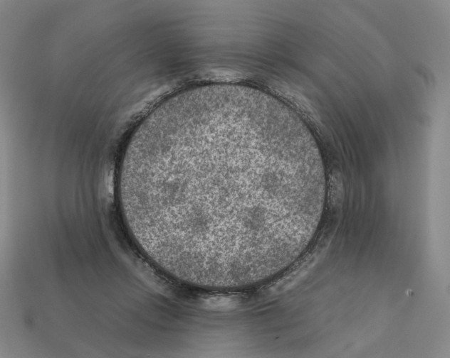 X0000111900358200909071141