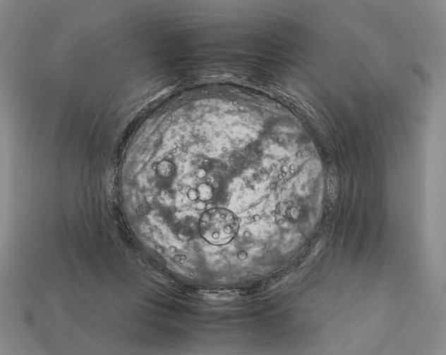 X0000111900359200909071141