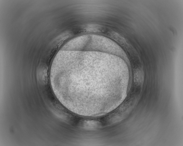 X0000111900360200909071141