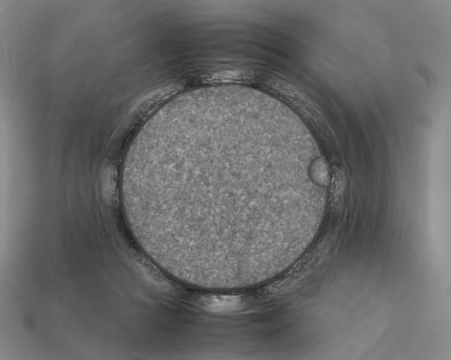 X0000111900361200909071141