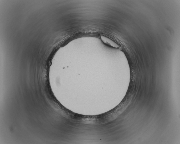 X0000111900362200909071141