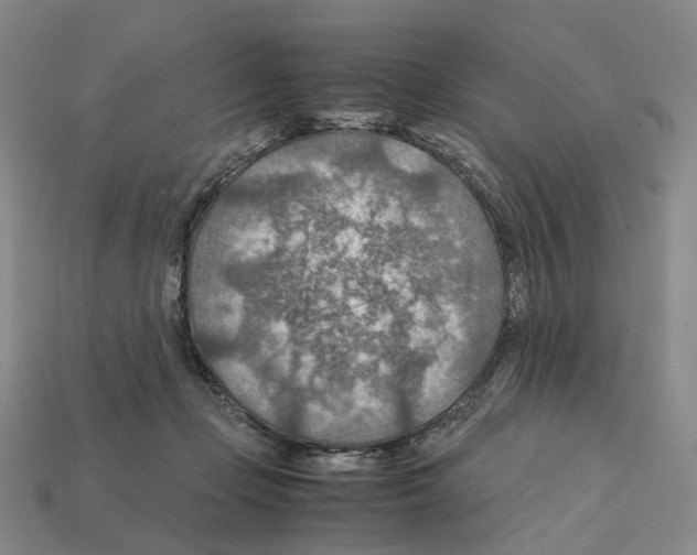 X0000111900365200909071141