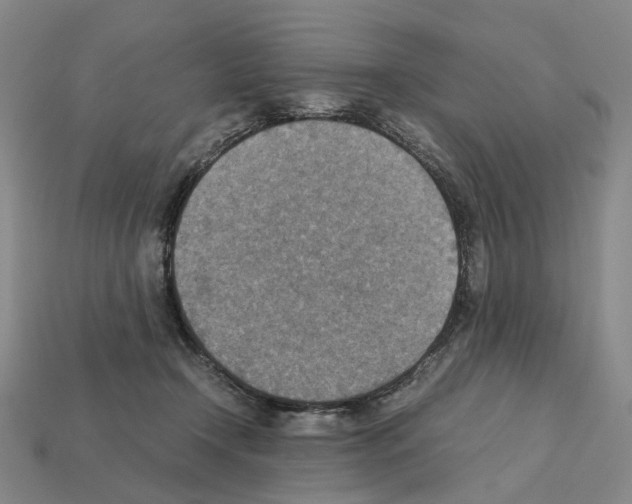 X0000111900366200909071141