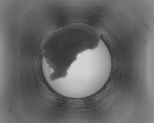 X0000111900367200909071141