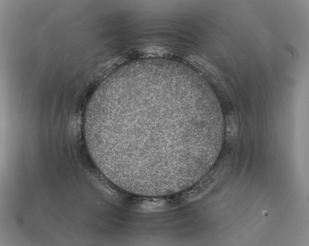 X0000111900369200909071141