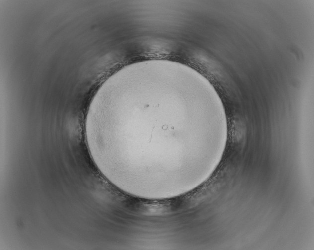 X0000111900370200909071141