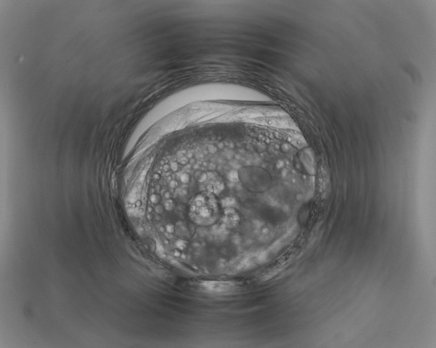 X0000111900371200909071141