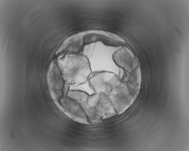 X0000111900373200909071141