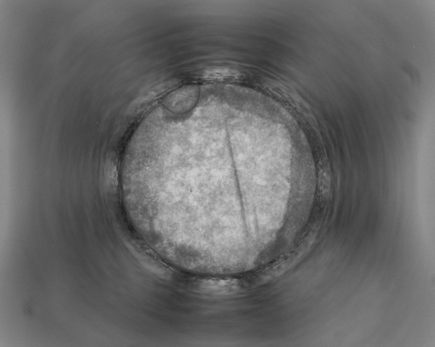 X0000111900375200909071141