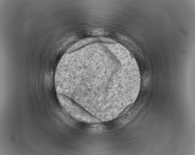 X0000111900376200909071141