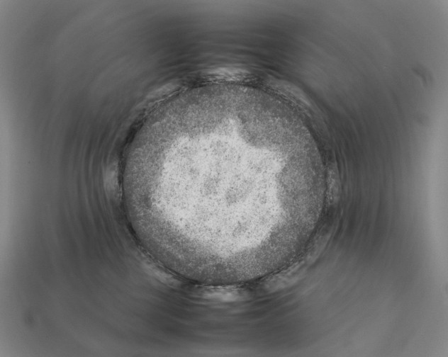 X0000111900377200909071141