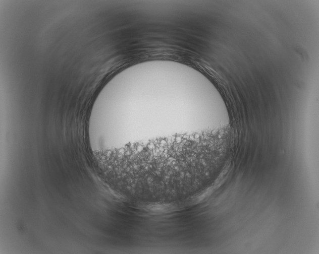 X0000111900379200909071141