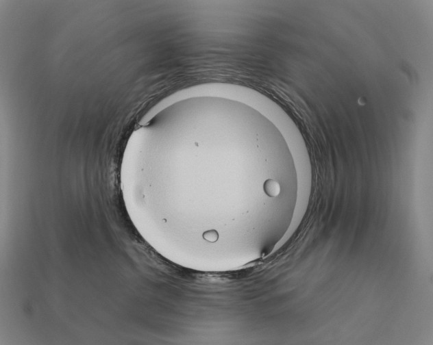 X0000111900380200909071141