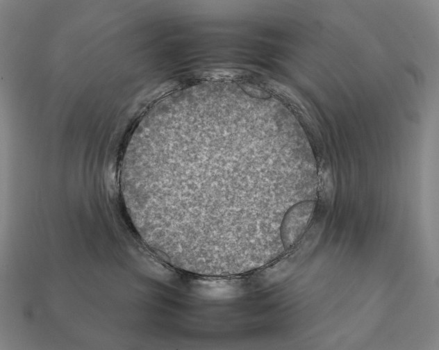 X0000111900381200909071141