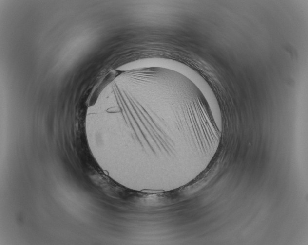 X0000111900382200909071141