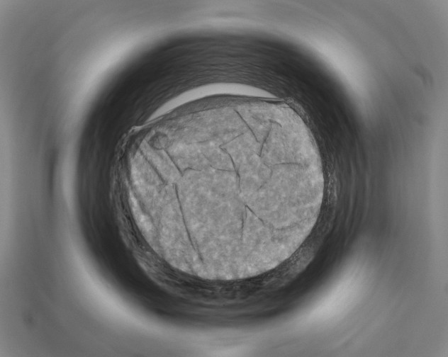 X0000111900383200909071141