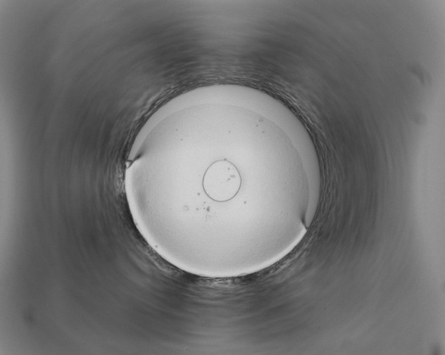 X0000111900384200909071141