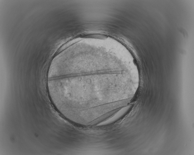 X0000111900385200909071140